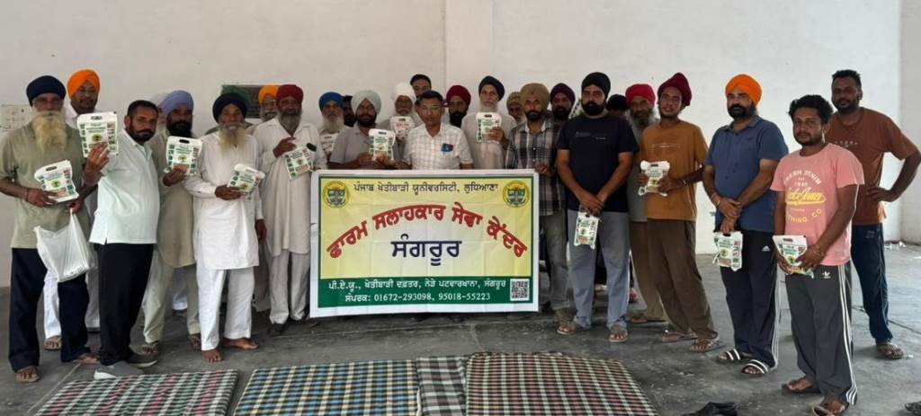 30 demonstrations of winter season vegetables at village Bharur by PAUFarm Advisory Service Centre Sangrur